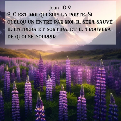 Segond21 Évangile selon Jean  ; image nature: image avec le verset biblique :C&#039;est moi qui suis la porte. Si quelqu&#039;un entre par moi, il sera sauvé; il entrera et sortira, et il trouvera de quoi se nourrir. ;  ; 10:9