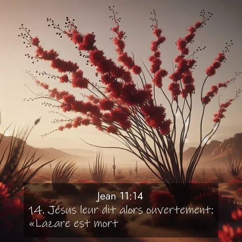 Segond21 Évangile selon Jean  ; image nature: image avec le verset biblique :Jésus leur dit alors ouvertement: «Lazare est mort. ;  ; 11:14