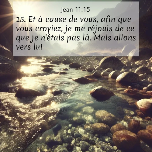 Segond21 Évangile selon Jean  ; image nature: image avec le verset biblique :Et à cause de vous, afin que vous croyiez, je me réjouis de ce que je n&#039;étais pas là. Mais allons vers lui.» ;  ; 11:15