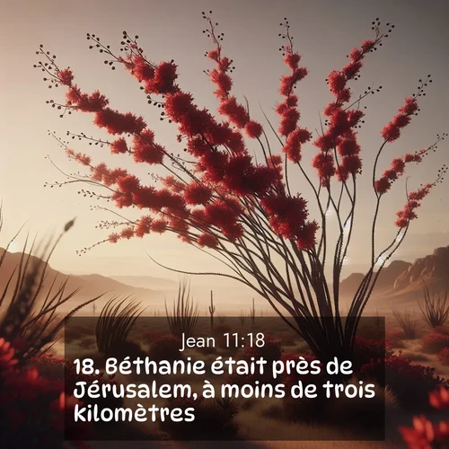 Segond21 Évangile selon Jean  ; image nature: image avec le verset biblique :Béthanie était près de Jérusalem, à moins de trois kilomètres, ;  ; 11:18