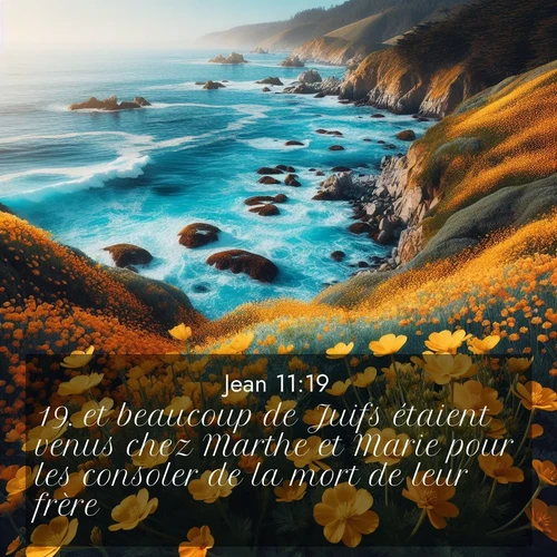 Segond21 Évangile selon Jean  ; image nature: image avec le verset biblique :et beaucoup de Juifs étaient venus chez Marthe et Marie pour les consoler de la mort de leur frère. ;  ; 11:19