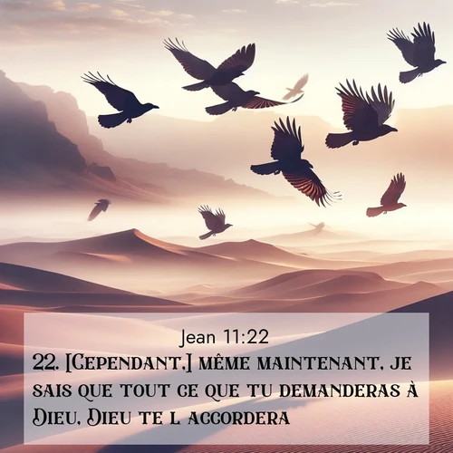Segond21 Évangile selon Jean  ; image nature: image avec le verset biblique :[Cependant,] même maintenant, je sais que tout ce que tu demanderas à Dieu, Dieu te l&#039;accordera.» ;  ; 11:22