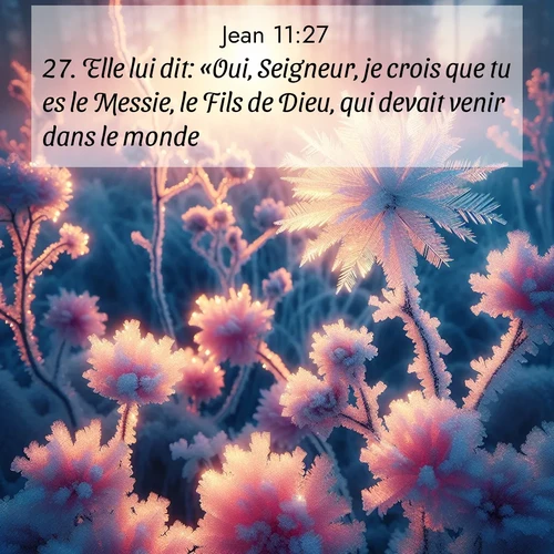 Segond21 Évangile selon Jean  ; image nature: image avec le verset biblique :Elle lui dit: «Oui, Seigneur, je crois que tu es le Messie, le Fils de Dieu, qui devait venir dans le monde.» ;  ; 11:27