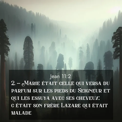 Segond21 Évangile selon Jean  ; image nature: image avec le verset biblique :- Marie était celle qui versa du parfum sur les pieds du Seigneur et qui les essuya avec ses cheveux; c&#039;était son frère Lazare qui était malade. - ;  ; 11:2