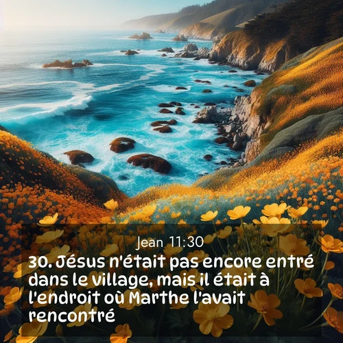 Segond21 Évangile selon Jean  ; image nature: image avec le verset biblique :Jésus n&#039;était pas encore entré dans le village, mais il était à l&#039;endroit où Marthe l&#039;avait rencontré. ;  ; 11:30