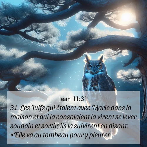 Segond21 Évangile selon Jean  ; image nature: image avec le verset biblique :Les Juifs qui étaient avec Marie dans la maison et qui la consolaient la virent se lever soudain et sortir; ils la suivirent en disant: «Elle va au tombeau pour y pleurer.» ;  ; 11:31