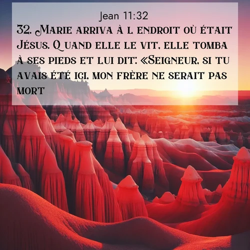 Segond21 Évangile selon Jean  ; image nature: image avec le verset biblique :Marie arriva à l&#039;endroit où était Jésus. Quand elle le vit, elle tomba à ses pieds et lui dit: «Seigneur, si tu avais été ici, mon frère ne serait pas mort.» ;  ; 11:32