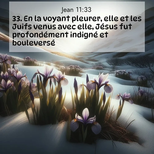Segond21 Évangile selon Jean  ; image nature: image avec le verset biblique :En la voyant pleurer, elle et les Juifs venus avec elle, Jésus fut profondément indigné et bouleversé. ;  ; 11:33