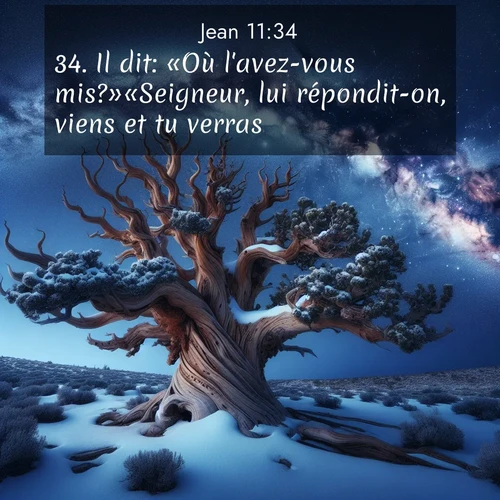 Segond21 Évangile selon Jean  ; image nature: image avec le verset biblique :Il dit: «Où l&#039;avez-vous mis?»«Seigneur, lui répondit-on, viens et tu verras.» ;  ; 11:34