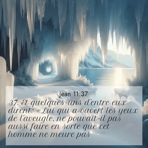 Segond21 Évangile selon Jean  ; image nature: image avec le verset biblique :Et quelques-uns d&#039;entre eux dirent: «Lui qui a ouvert les yeux de l&#039;aveugle, ne pouvait-il pas aussi faire en sorte que cet homme ne meure pas?» ;  ; 11:37