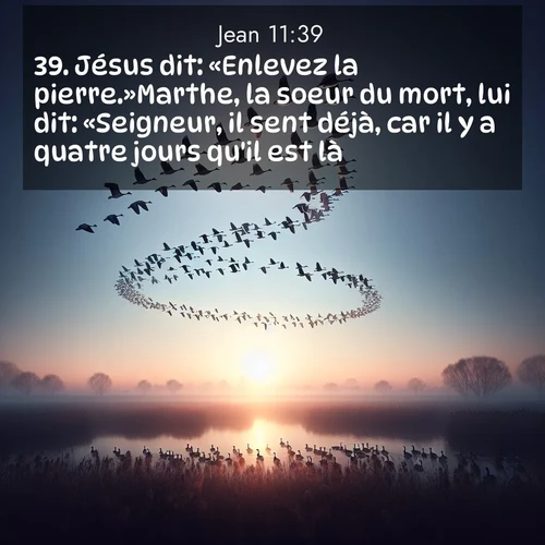 Segond21 Évangile selon Jean  ; image nature: image avec le verset biblique :Jésus dit: «Enlevez la pierre.»Marthe, la soeur du mort, lui dit: «Seigneur, il sent déjà, car il y a quatre jours qu&#039;il est là.» ;  ; 11:39