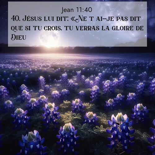 Segond21 Évangile selon Jean  ; image nature: image avec le verset biblique :Jésus lui dit: «Ne t&#039;ai-je pas dit que si tu crois, tu verras la gloire de Dieu?» ;  ; 11:40