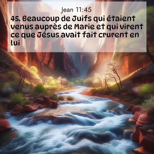 Segond21 Évangile selon Jean  ; image nature: image avec le verset biblique :Beaucoup de Juifs qui étaient venus auprès de Marie et qui virent ce que Jésus avait fait crurent en lui. ;  ; 11:45