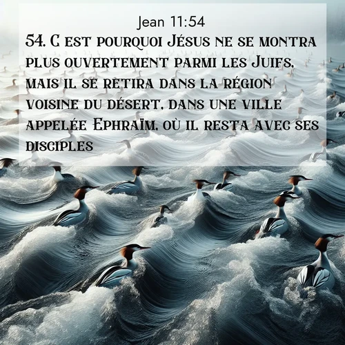 Segond21 Évangile selon Jean  ; image nature: image avec le verset biblique :C&#039;est pourquoi Jésus ne se montra plus ouvertement parmi les Juifs, mais il se retira dans la région voisine du désert, dans une ville appelée Ephraïm, où il resta avec ses disciples. ;  ; 11:54