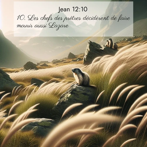 Segond21 Évangile selon Jean  ; image nature: image avec le verset biblique :Les chefs des prêtres décidèrent de faire mourir aussi Lazare ;  ; 12:10