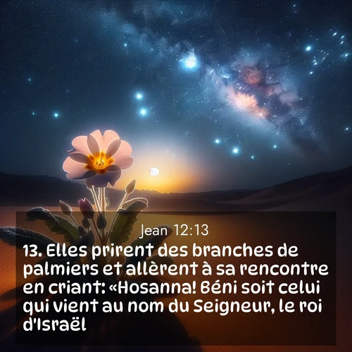 Segond21 Évangile selon Jean  ; image nature: image avec le verset biblique :Elles prirent des branches de palmiers et allèrent à sa rencontre en criant: «Hosanna! Béni soit celui qui vient au nom du Seigneur, le roi d&#039;Israël!» ;  ; 12:13