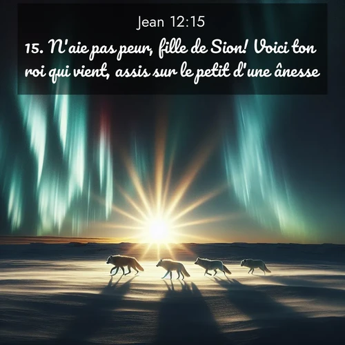 Segond21 Évangile selon Jean  ; image nature: image avec le verset biblique :N&#039;aie pas peur, fille de Sion! Voici ton roi qui vient, assis sur le petit d&#039;une ânesse. ;  ; 12:15
