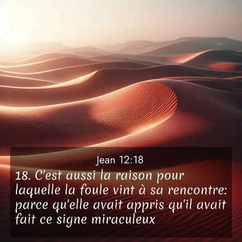 Segond21 Évangile selon Jean  ; image nature: image avec le verset biblique :C&#039;est aussi la raison pour laquelle la foule vint à sa rencontre: parce qu&#039;elle avait appris qu&#039;il avait fait ce signe miraculeux. ;  ; 12:18