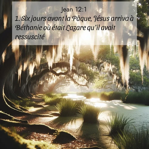Segond21 Évangile selon Jean  ; image nature: image avec le verset biblique :Six jours avant la Pâque, Jésus arriva à Béthanie où était Lazare qu&#039;il avait ressuscité. ;  ; 12:1