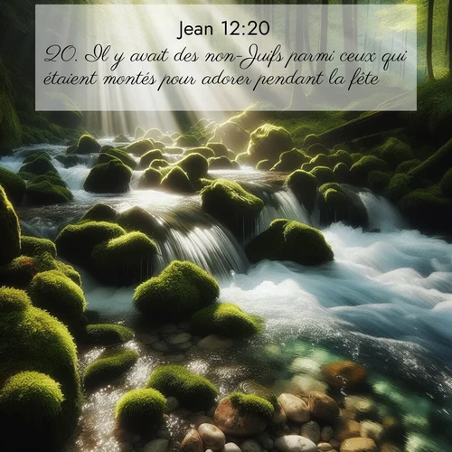 Segond21 Évangile selon Jean  ; image nature: image avec le verset biblique :Il y avait des non-Juifs parmi ceux qui étaient montés pour adorer pendant la fête. ;  ; 12:20