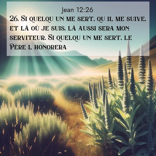 Segond21 Évangile selon Jean  ; image nature: image avec le verset biblique :Si quelqu&#039;un me sert, qu&#039;il me suive, et là où je suis, là aussi sera mon serviteur. Si quelqu&#039;un me sert, le Père l&#039;honorera. ;  ; 12:26