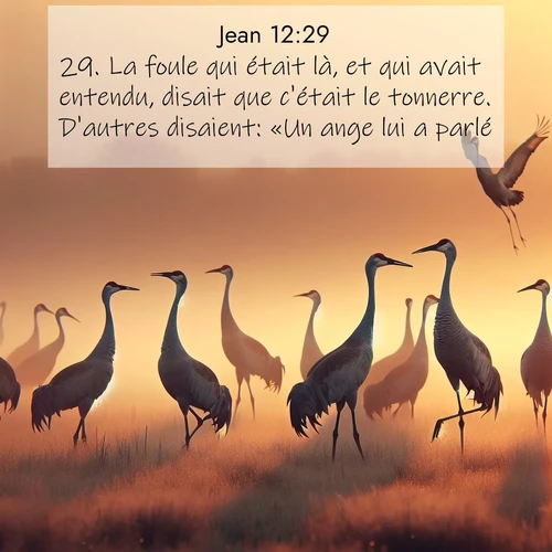 Segond21 Évangile selon Jean  ; image nature: image avec le verset biblique :La foule qui était là, et qui avait entendu, disait que c&#039;était le tonnerre. D&#039;autres disaient: «Un ange lui a parlé.» ;  ; 12:29