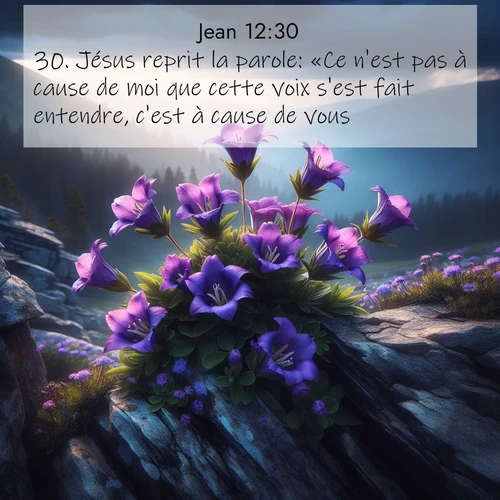 Segond21 Évangile selon Jean  ; image nature: image avec le verset biblique :Jésus reprit la parole: «Ce n&#039;est pas à cause de moi que cette voix s&#039;est fait entendre, c&#039;est à cause de vous. ;  ; 12:30