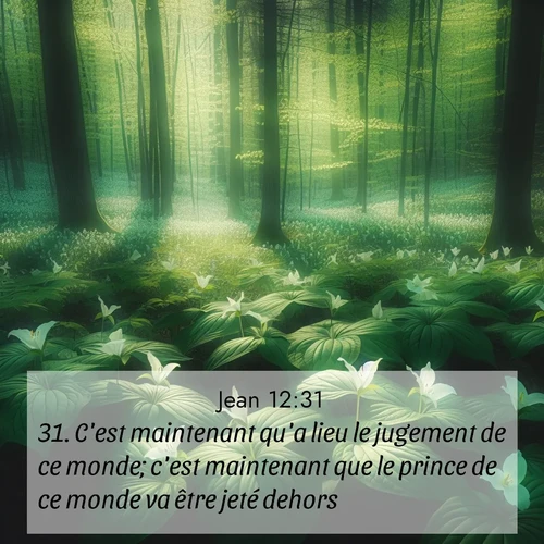 Segond21 Évangile selon Jean  ; image nature: image avec le verset biblique :C&#039;est maintenant qu&#039;a lieu le jugement de ce monde; c&#039;est maintenant que le prince de ce monde va être jeté dehors. ;  ; 12:31