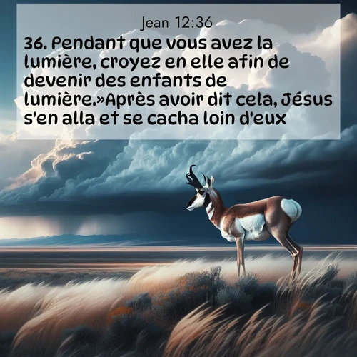 Segond21 Évangile selon Jean  ; image nature: image avec le verset biblique :Pendant que vous avez la lumière, croyez en elle afin de devenir des enfants de lumière.»Après avoir dit cela, Jésus s&#039;en alla et se cacha loin d&#039;eux. ;  ; 12:36