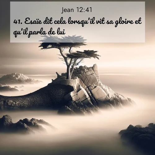 Segond21 Évangile selon Jean  ; image nature: image avec le verset biblique :Esaïe dit cela lorsqu&#039;il vit sa gloire et qu&#039;il parla de lui. ;  ; 12:41