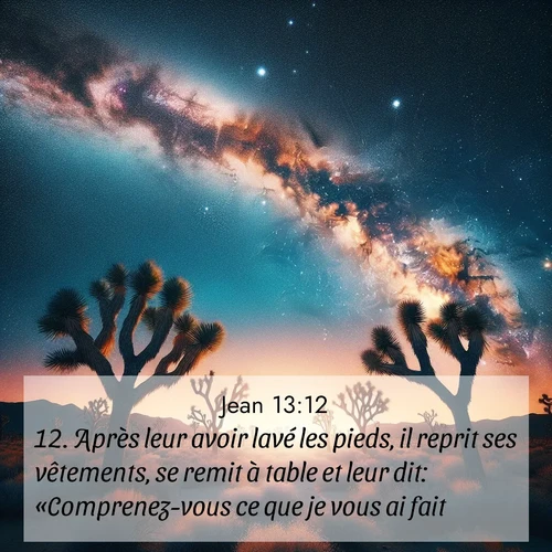 Segond21 Évangile selon Jean  ; image nature: image avec le verset biblique :Après leur avoir lavé les pieds, il reprit ses vêtements, se remit à table et leur dit: «Comprenez-vous ce que je vous ai fait? ;  ; 13:12