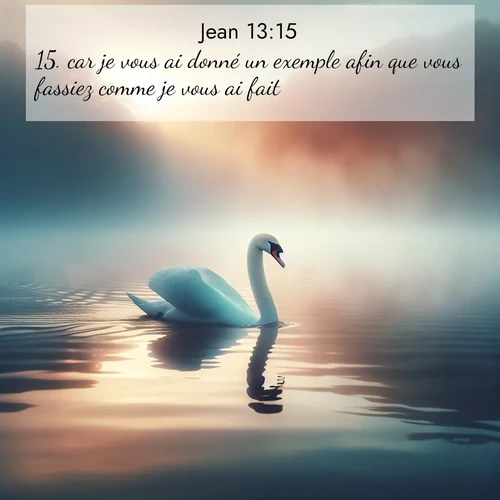 Segond21 Évangile selon Jean  ; image nature: image avec le verset biblique :car je vous ai donné un exemple afin que vous fassiez comme je vous ai fait. ;  ; 13:15
