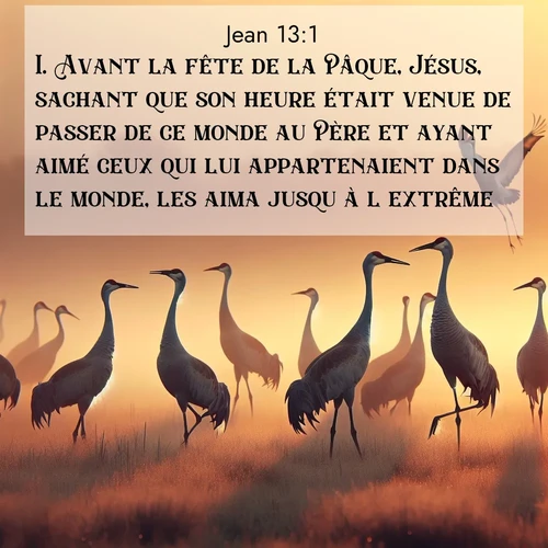Segond21 Évangile selon Jean  ; image nature: image avec le verset biblique :Avant la fête de la Pâque, Jésus, sachant que son heure était venue de passer de ce monde au Père et ayant aimé ceux qui lui appartenaient dans le monde, les aima jusqu&#039;à l&#039;extrême. ;  ; 13:1