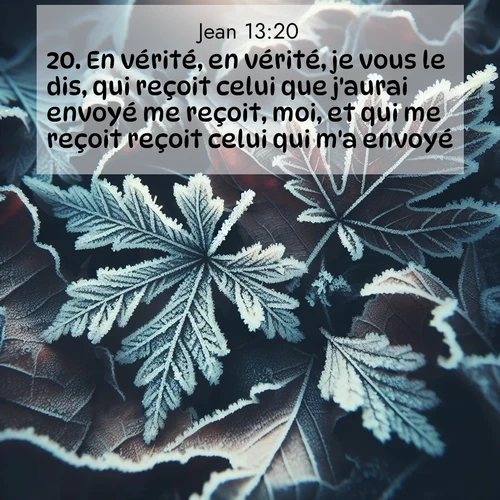 Segond21 Évangile selon Jean  ; image nature: image avec le verset biblique :En vérité, en vérité, je vous le dis, qui reçoit celui que j&#039;aurai envoyé me reçoit, moi, et qui me reçoit reçoit celui qui m&#039;a envoyé.» ;  ; 13:20