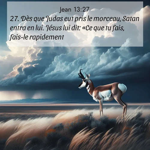 Segond21 Évangile selon Jean  ; image nature: image avec le verset biblique :Dès que Judas eut pris le morceau, Satan entra en lui. Jésus lui dit: «Ce que tu fais, fais-le rapidement.» ;  ; 13:27