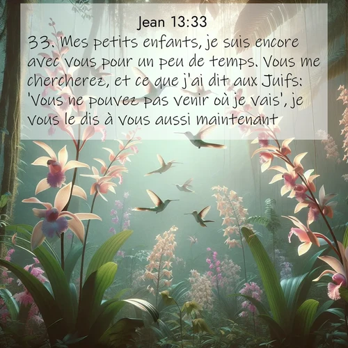 Segond21 Évangile selon Jean  ; image nature: image avec le verset biblique :Mes petits enfants, je suis encore avec vous pour un peu de temps. Vous me chercherez, et ce que j&#039;ai dit aux Juifs: &#039;Vous ne pouvez pas venir où je vais&#039;, je vous le dis à vous aussi maintenant. ;  ; 13:33