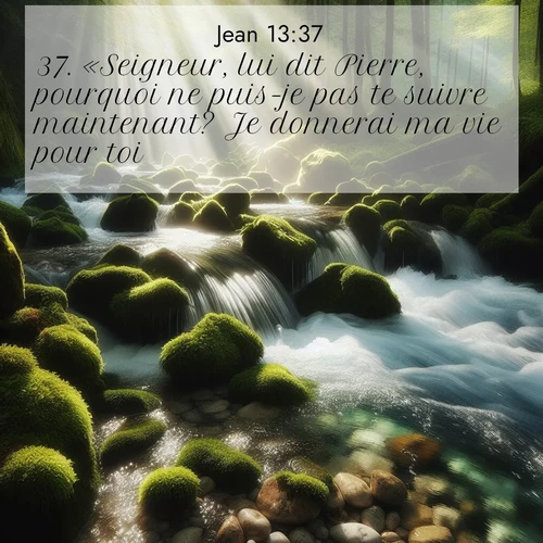 Segond21 Évangile selon Jean  ; image nature: image avec le verset biblique :«Seigneur, lui dit Pierre, pourquoi ne puis-je pas te suivre maintenant? Je donnerai ma vie pour toi.» ;  ; 13:37