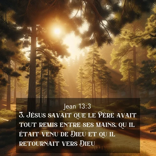 Segond21 Évangile selon Jean  ; image nature: image avec le verset biblique :Jésus savait que le Père avait tout remis entre ses mains, qu&#039;il était venu de Dieu et qu&#039;il retournait vers Dieu. ;  ; 13:3