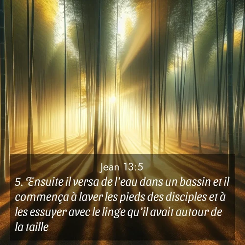 Segond21 Évangile selon Jean  ; image nature: image avec le verset biblique :Ensuite il versa de l&#039;eau dans un bassin et il commença à laver les pieds des disciples et à les essuyer avec le linge qu&#039;il avait autour de la taille. ;  ; 13:5