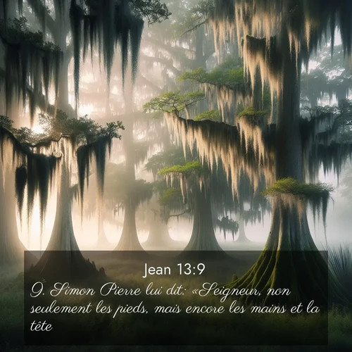 Segond21 Évangile selon Jean  ; image nature: image avec le verset biblique :Simon Pierre lui dit: «Seigneur, non seulement les pieds, mais encore les mains et la tête!» ;  ; 13:9