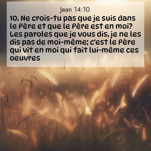 Segond21 Évangile selon Jean  ; image nature: image avec le verset biblique :Ne crois-tu pas que je suis dans le Père et que le Père est en moi? Les paroles que je vous dis, je ne les dis pas de moi-même; c&#039;est le Père qui vit en moi qui fait lui-même ces oeuvres. ;  ; 14:10