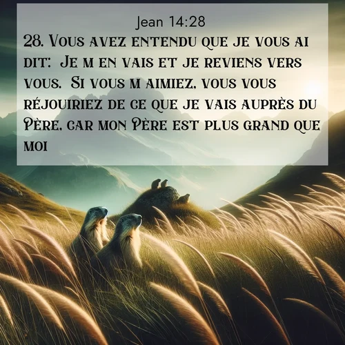Segond21 Évangile selon Jean  ; image nature: image avec le verset biblique :Vous avez entendu que je vous ai dit: &#039;Je m&#039;en vais et je reviens vers vous.&#039; Si vous m&#039;aimiez, vous vous réjouiriez de ce que je vais auprès du Père, car mon Père est plus grand que moi. ;  ; 14:28
