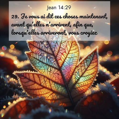 Segond21 Évangile selon Jean  ; image nature: image avec le verset biblique :Je vous ai dit ces choses maintenant, avant qu&#039;elles n&#039;arrivent, afin que, lorsqu&#039;elles arriveront, vous croyiez. ;  ; 14:29