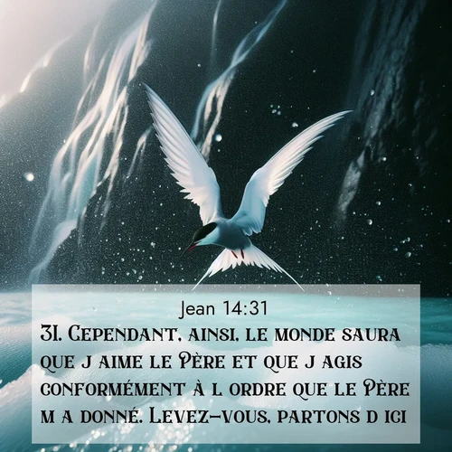 Segond21 Évangile selon Jean  ; image nature: image avec le verset biblique :Cependant, ainsi, le monde saura que j&#039;aime le Père et que j&#039;agis conformément à l&#039;ordre que le Père m&#039;a donné. Levez-vous, partons d&#039;ici. ;  ; 14:31