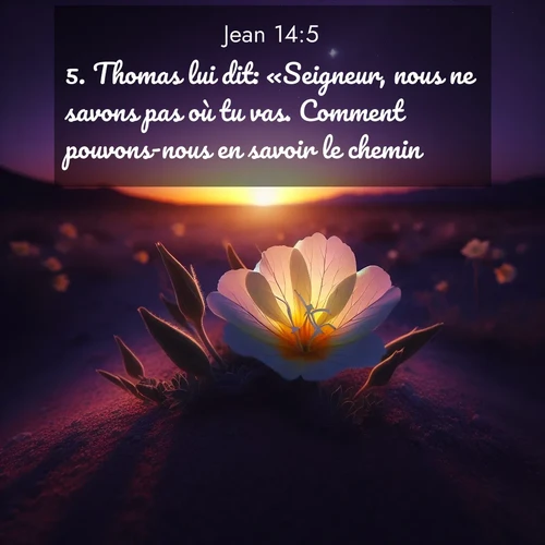 Segond21 Évangile selon Jean  ; image nature: image avec le verset biblique :Thomas lui dit: «Seigneur, nous ne savons pas où tu vas. Comment pouvons-nous en savoir le chemin?» ;  ; 14:5