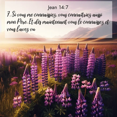 Segond21 Évangile selon Jean  ; image nature: image avec le verset biblique :Si vous me connaissiez, vous connaîtriez aussi mon Père. Et dès maintenant vous le connaissez et vous l&#039;avez vu.» ;  ; 14:7
