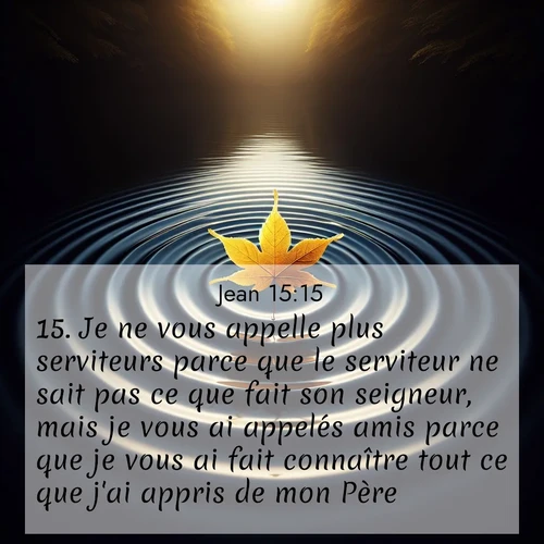 Segond21 Évangile selon Jean  ; image nature: image avec le verset biblique :Je ne vous appelle plus serviteurs parce que le serviteur ne sait pas ce que fait son seigneur, mais je vous ai appelés amis parce que je vous ai fait connaître tout ce que j&#039;ai appris de mon Père. ;  ; 15:15