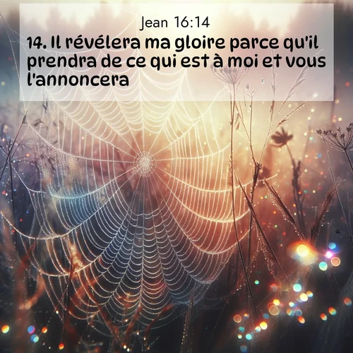 Segond21 Évangile selon Jean  ; image nature: image avec le verset biblique :Il révélera ma gloire parce qu&#039;il prendra de ce qui est à moi et vous l&#039;annoncera. ;  ; 16:14