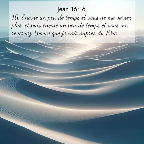 Segond21 Évangile selon Jean  ; image nature: image avec le verset biblique :Encore un peu de temps et vous ne me verrez plus, et puis encore un peu de temps et vous me reverrez, [parce que je vais auprès du Père].» ;  ; 16:16