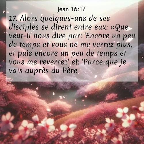 Segond21 Évangile selon Jean  ; image nature: image avec le verset biblique :Alors quelques-uns de ses disciples se dirent entre eux: «Que veut-il nous dire par: &#039;Encore un peu de temps et vous ne me verrez plus, et puis encore un peu de temps et vous me reverrez&#039; et: &#039;Parce que je vais auprès du Père&#039;?» ;  ; 16:17